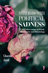 What to Do with Political Sadness