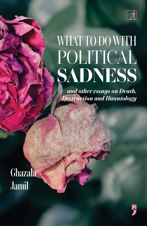 What to Do with Political Sadness
