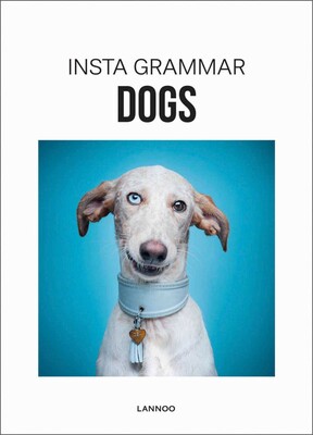 Insta Grammar Dogs Insta Grammar Dogs