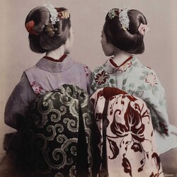 Japan on a Glass Plate Japan on a Glass Plate