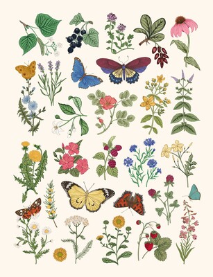 Botanical Embroidered Sketchbook Botanical Embroidered Sketchbook