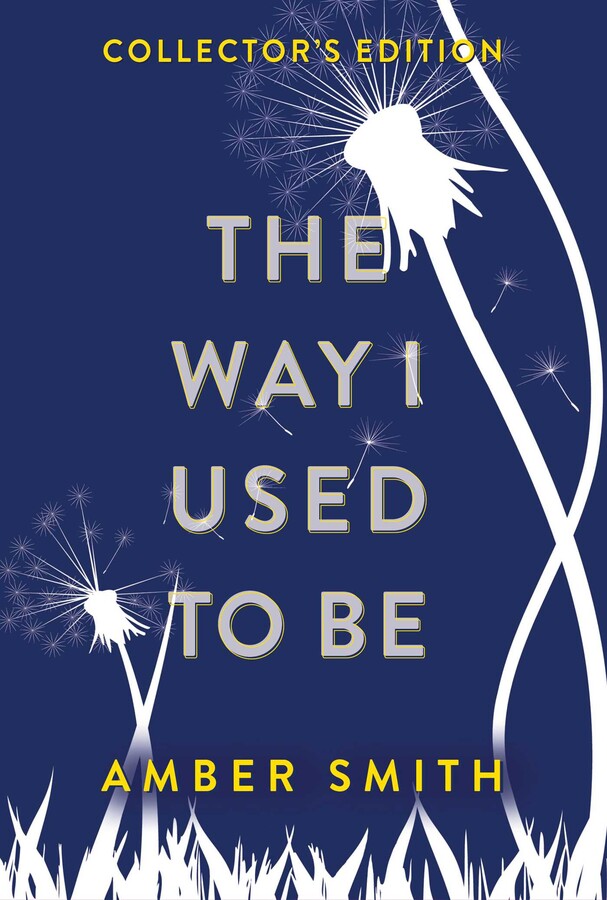 The Way I Used to Be (Collector’s Edition) cover image