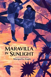 Maravilla in Sunlight Maravilla in Sunlight