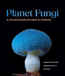 planet-fungi-9798881611668.jpg