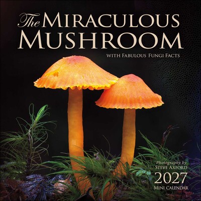 Miraculous Mushroom 2027 Mini Wall Calendar
