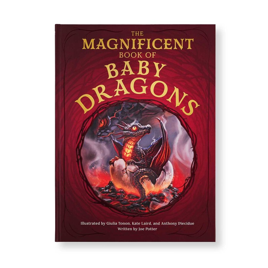The Magnificent Book of Baby Dragons | Book by Joe Potter, Stella ...