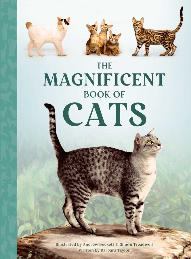 Magnificent Book of Cats