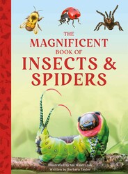 The Magnificent Book of Insects and Spiders The Magnificent Book of Insects and Spiders