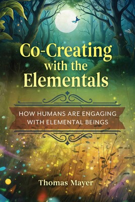 Co-Creating with the Elementals Co-Creating with the Elementals