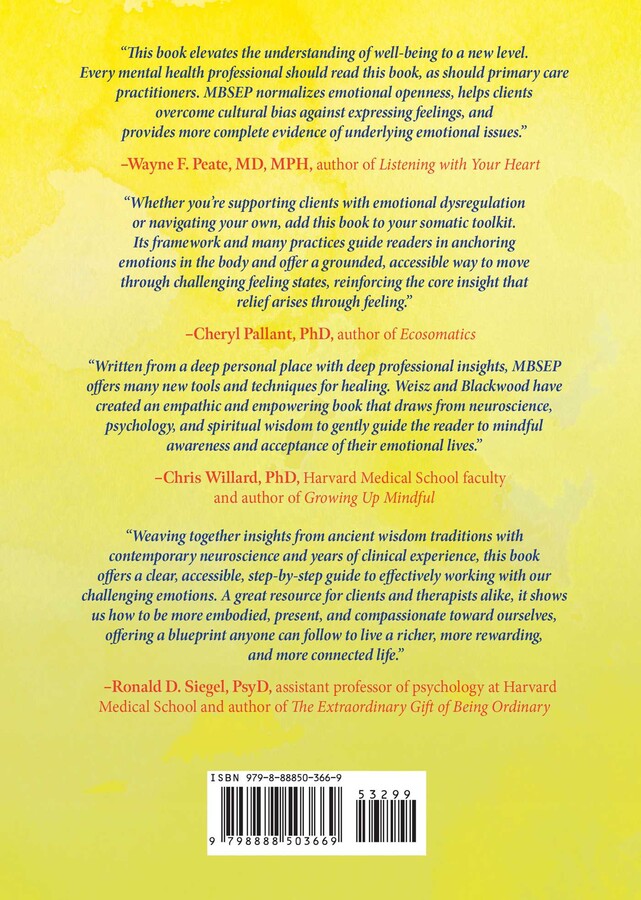 Mindfulness-Based Somatic Emotional Processing