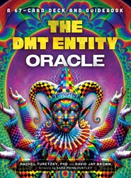 The DMT Entity Oracle The DMT Entity Oracle