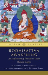 Bodhisattva Awakening Bodhisattva Awakening