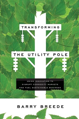 Transforming The Utility Pole Transforming The Utility Pole