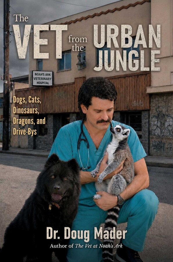 Vet from the Urban Jungle