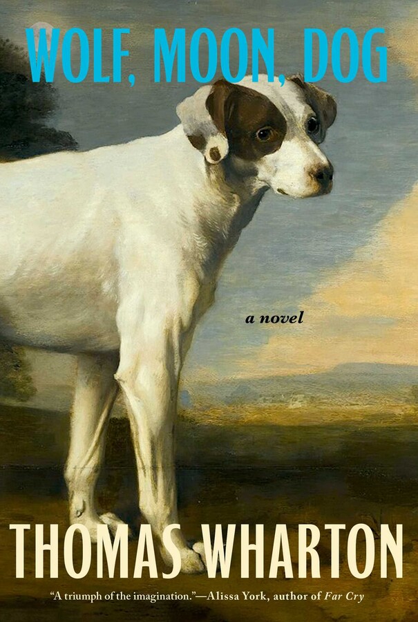 Wolf, Moon, Dog