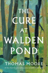 The Cure at Walden Pond The Cure at Walden Pond