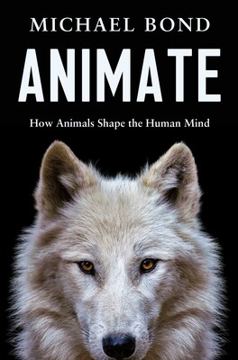 Animate Animate