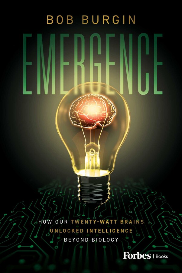 Emergence