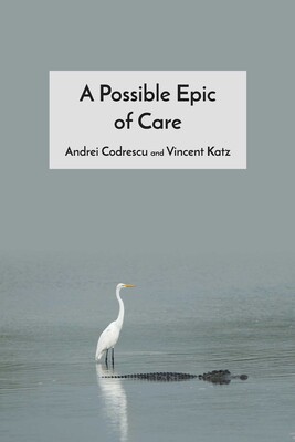 Possible Epic of Care Possible Epic of Care