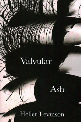 Valvular Ash Valvular Ash