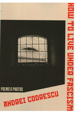 How To Live Under Fascism