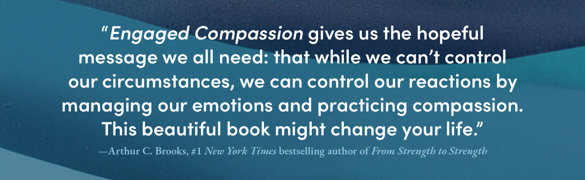 Engaged Compassion