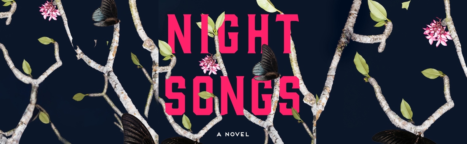 Night Songs