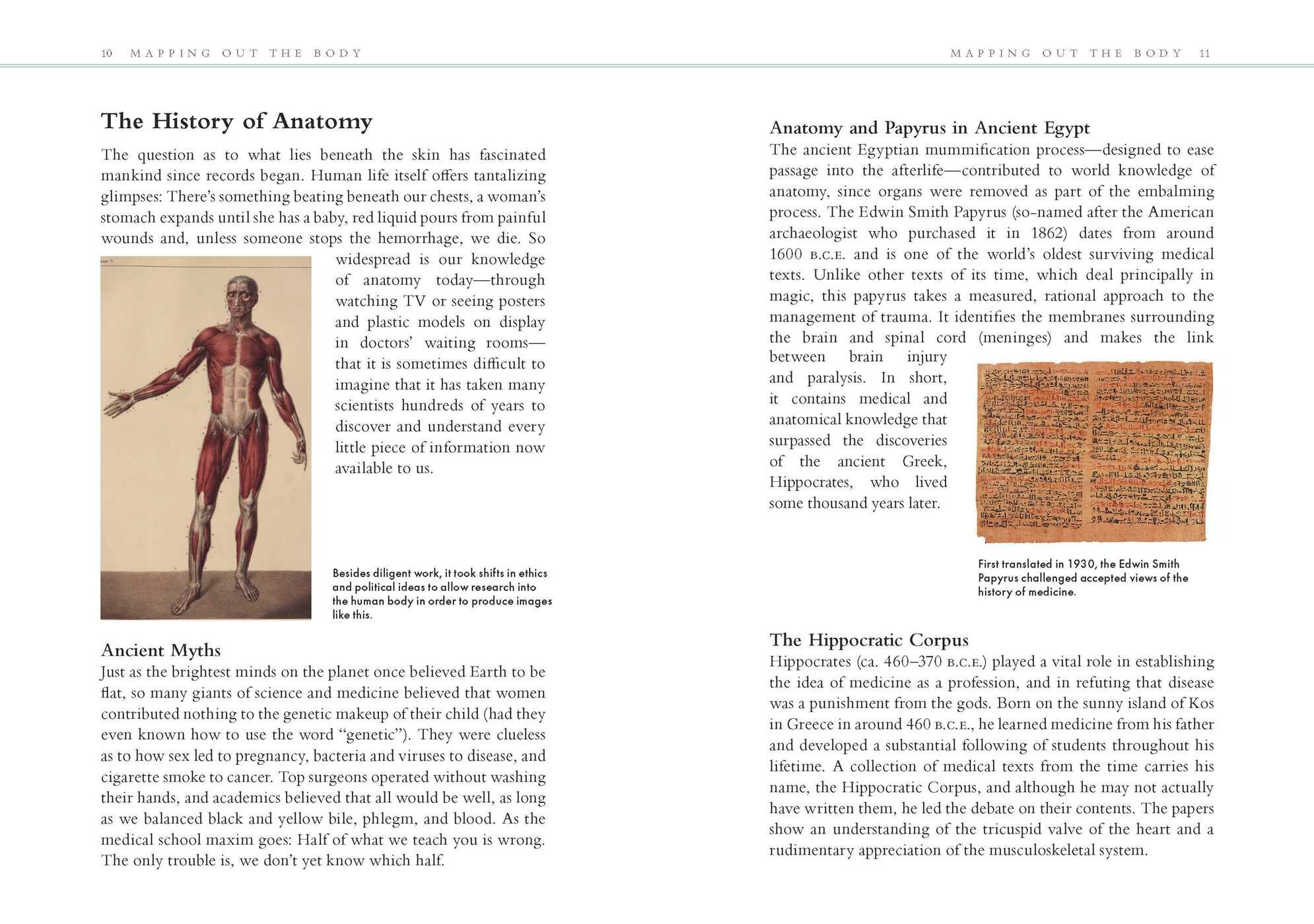 Human Anatomy
