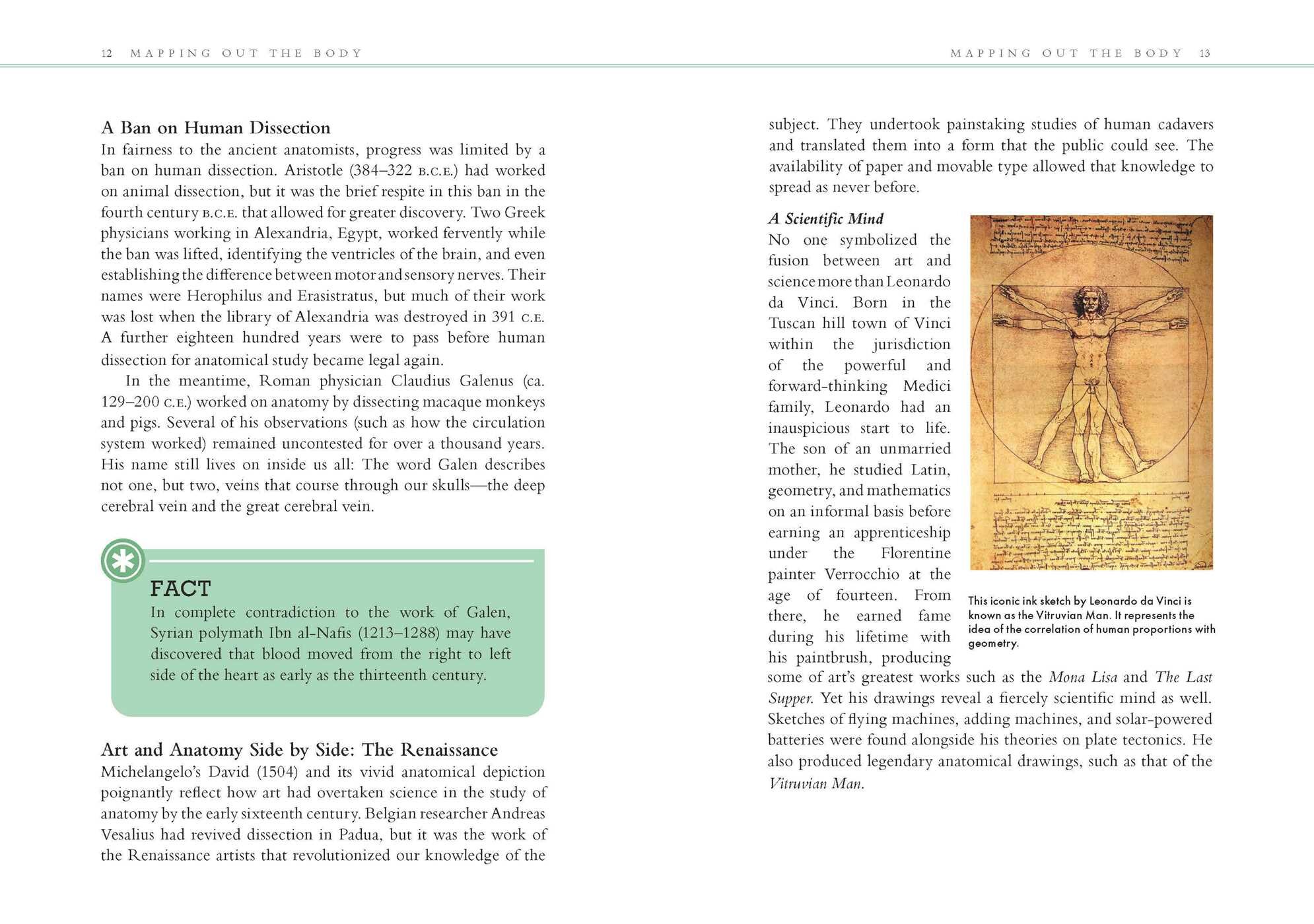 Human Anatomy