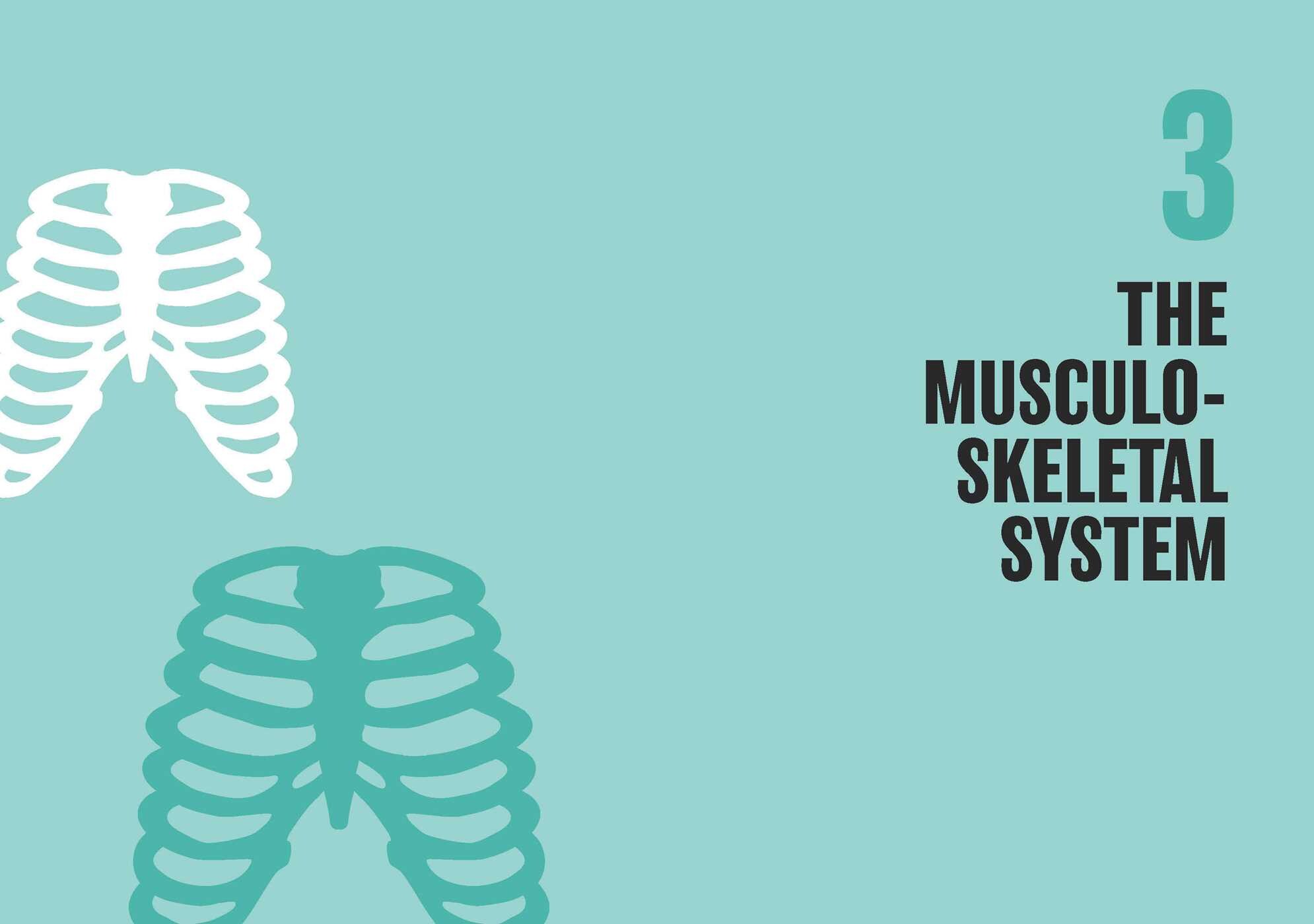 Human Anatomy