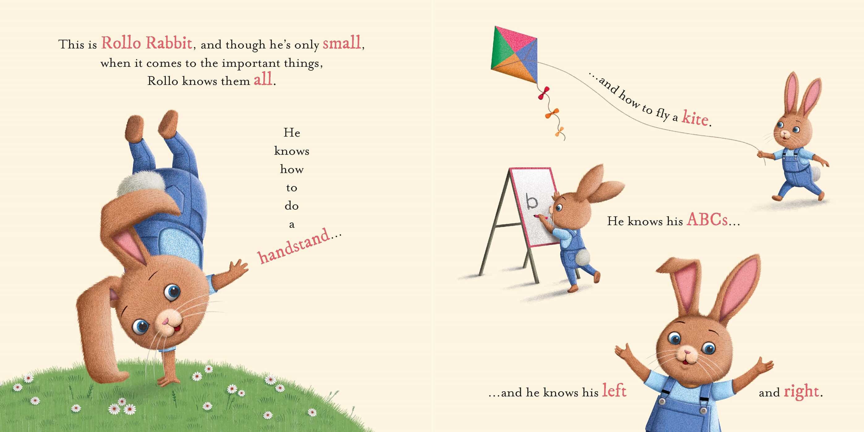 Do You Know How Much I Love You?: Padded Board Book