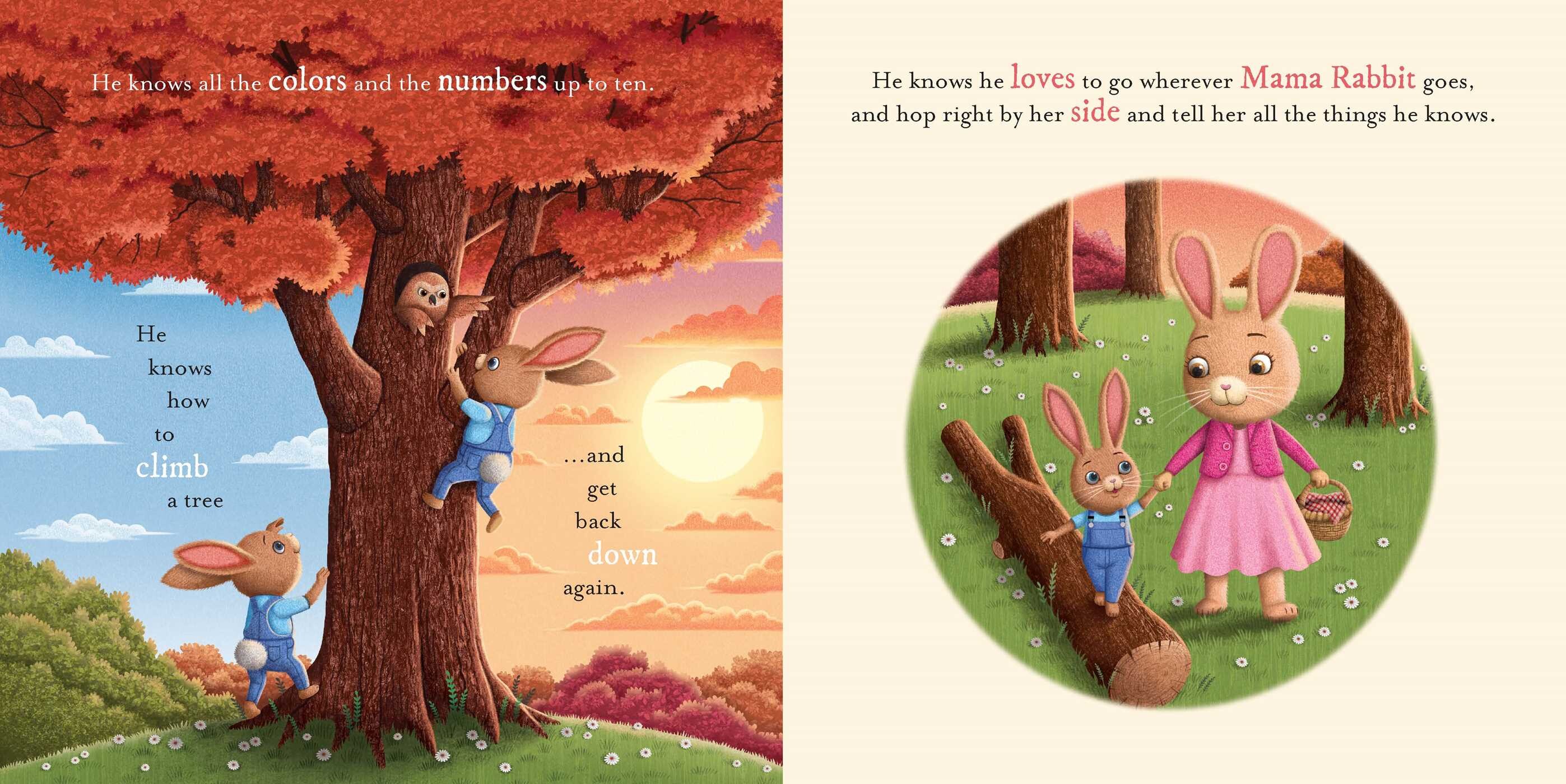 Do You Know How Much I Love You?: Padded Board Book