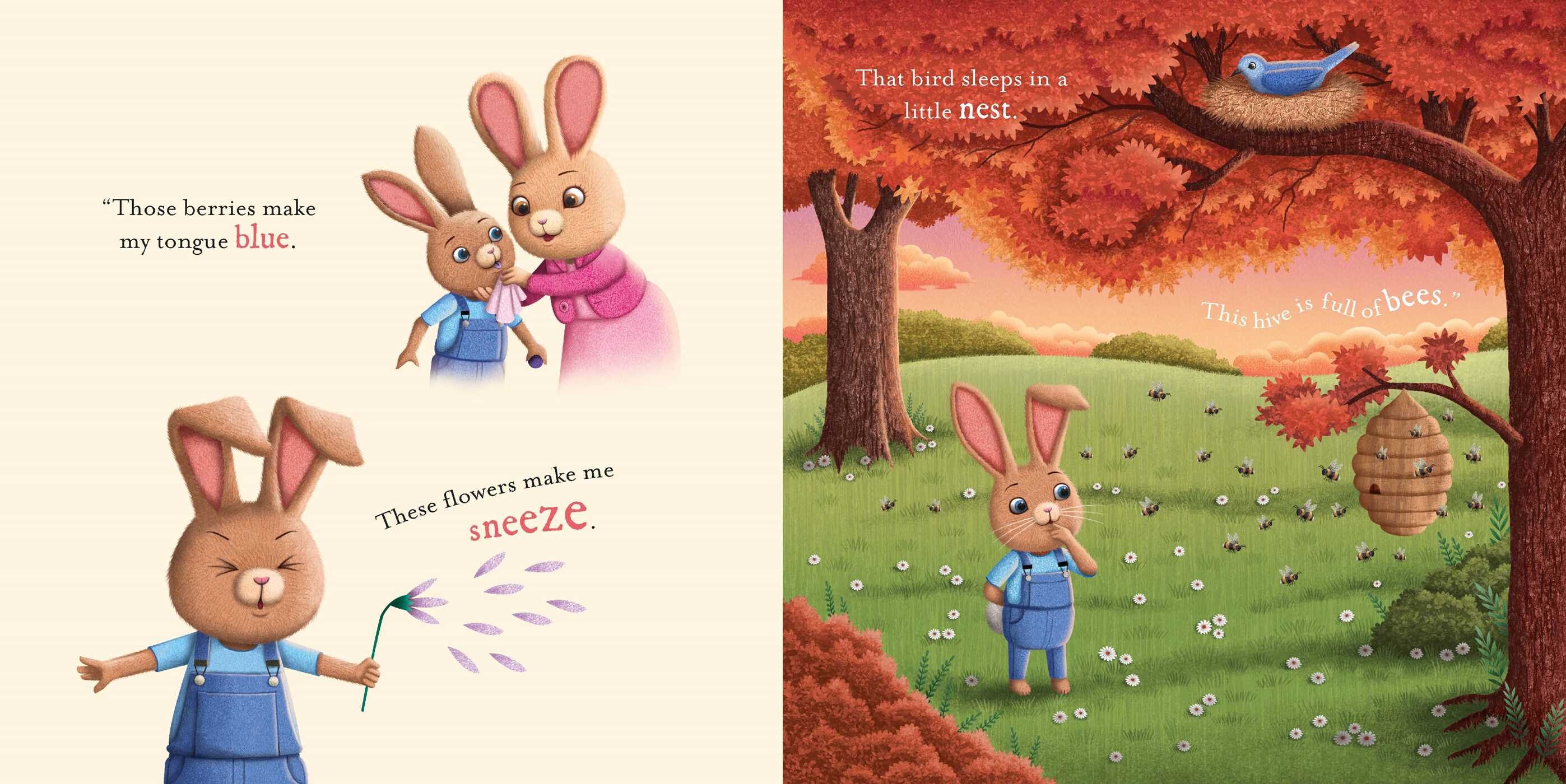 Do You Know How Much I Love You?: Padded Board Book