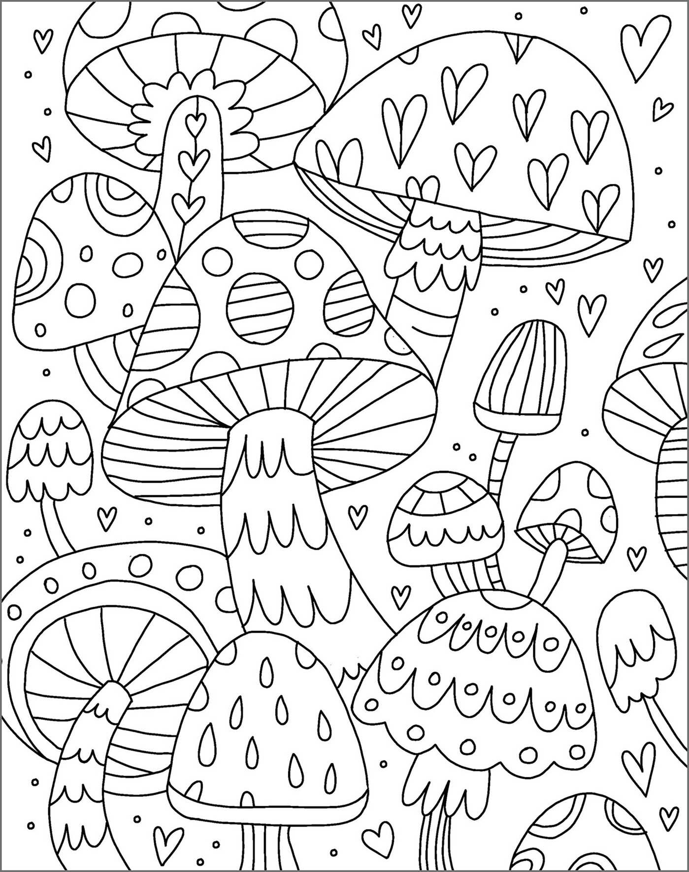 Enchanted Forest