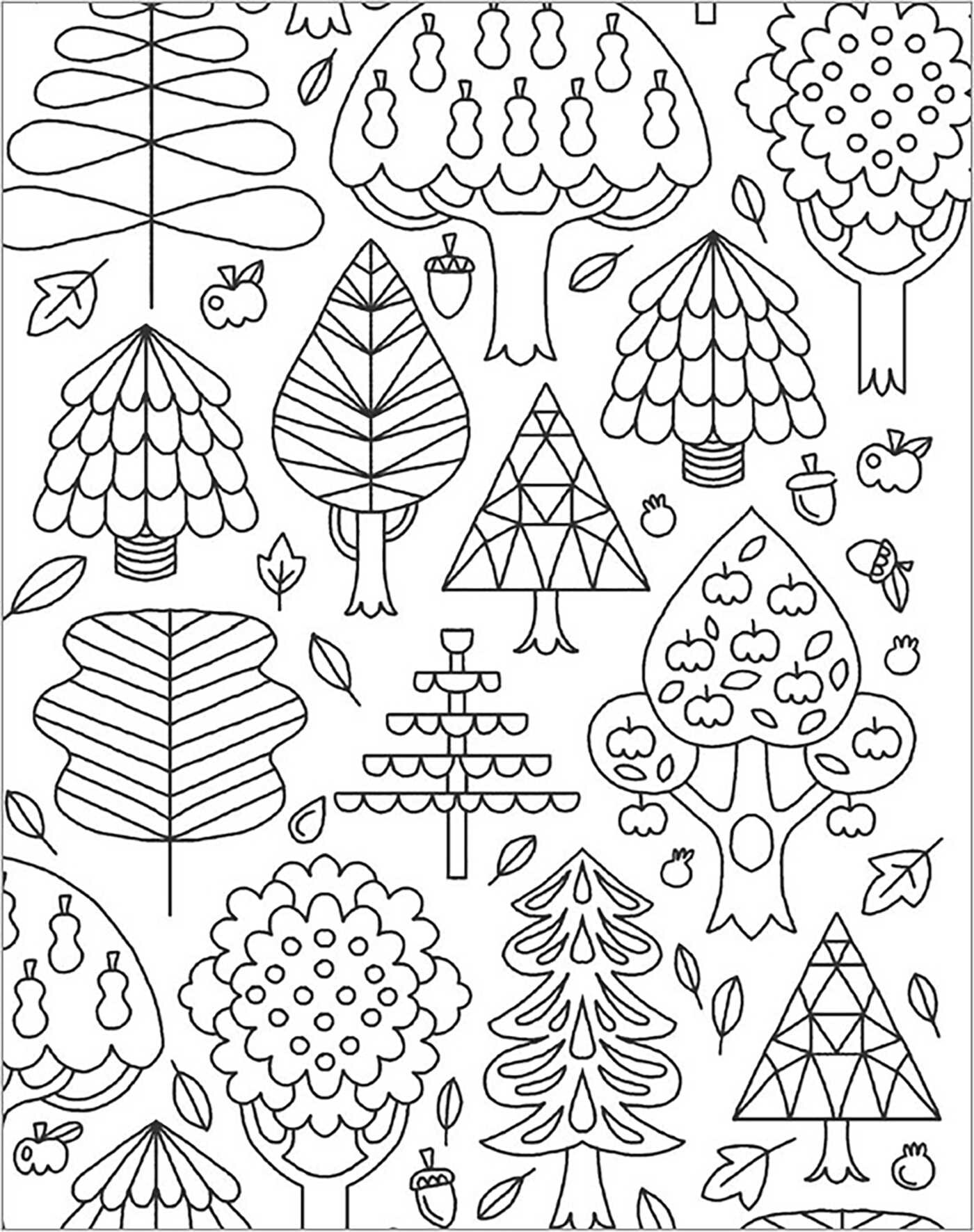 Enchanted Forest
