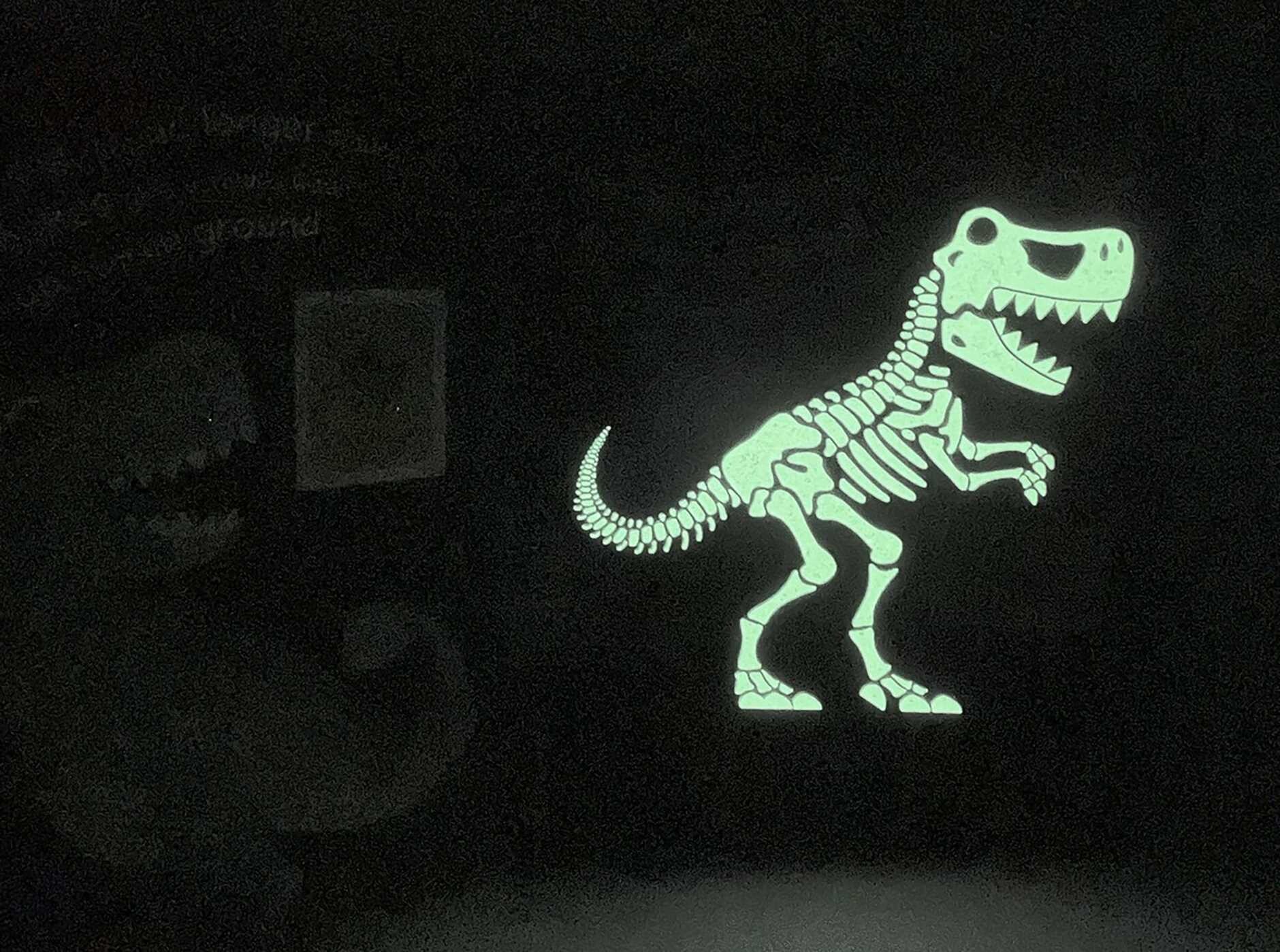 Look Inside: Roary the Dinosaur