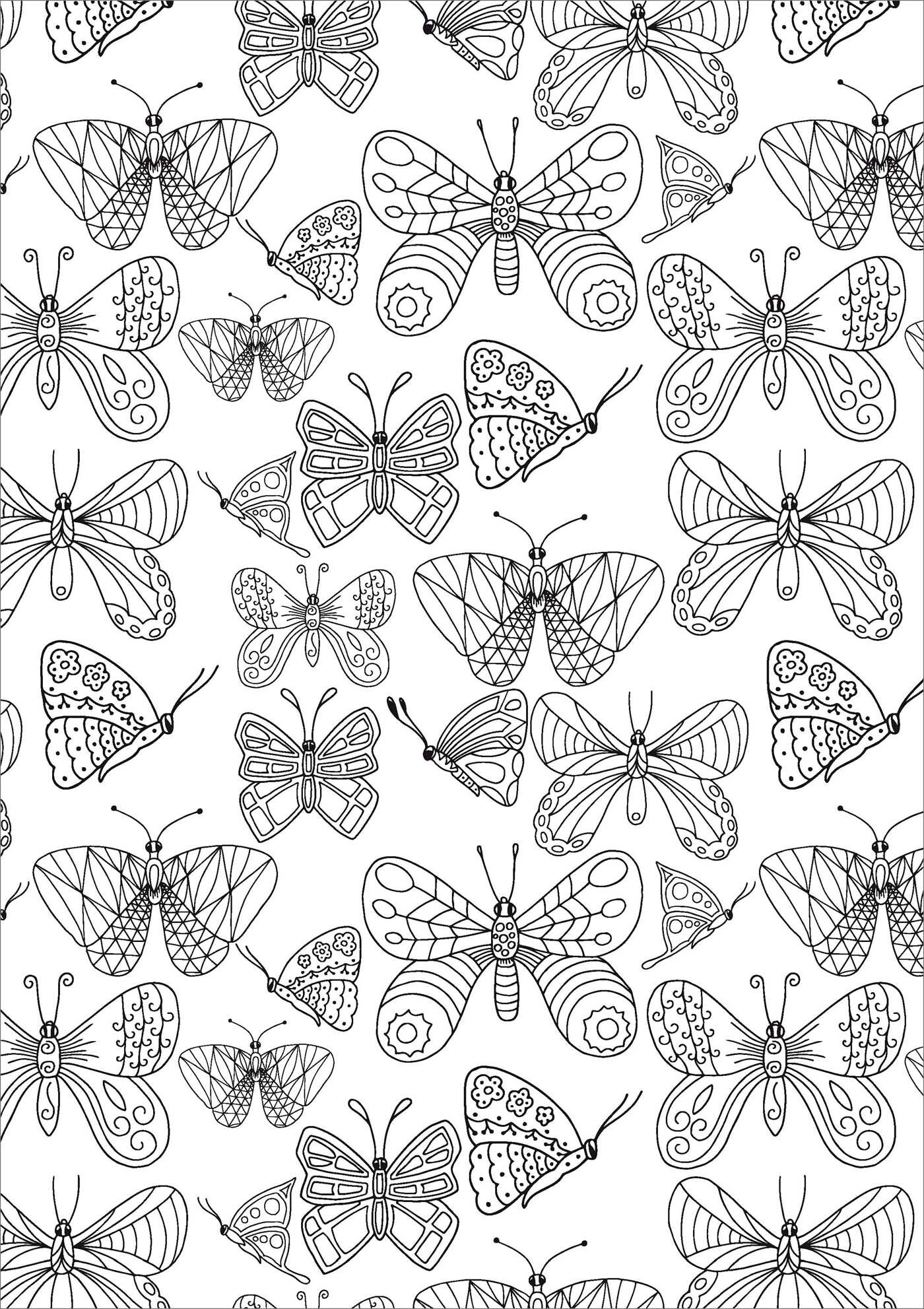Beautiful Butterflies