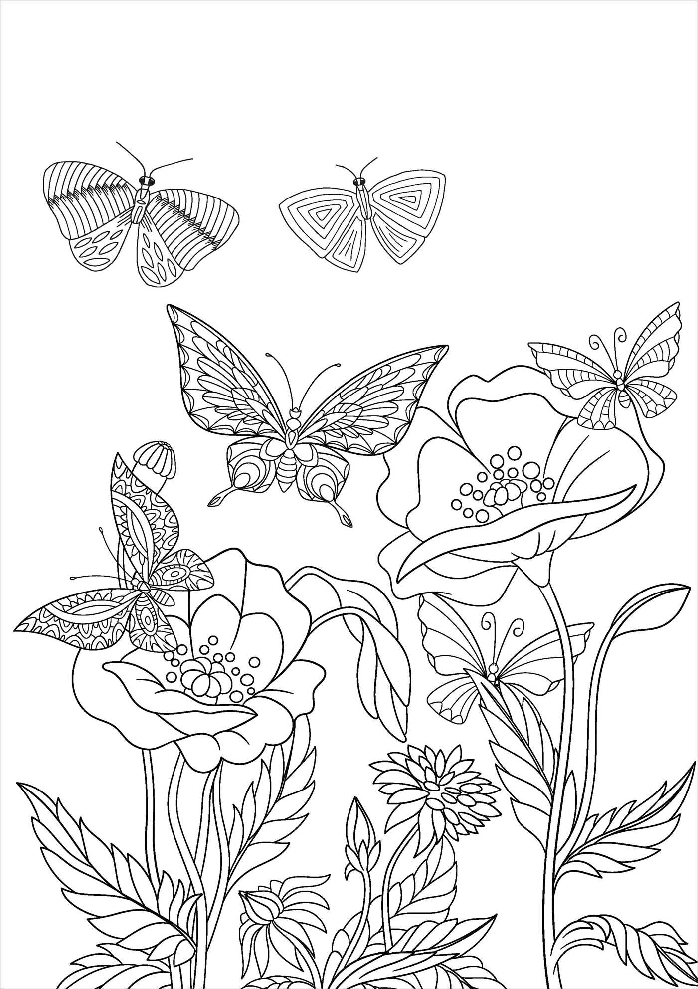 Beautiful Butterflies