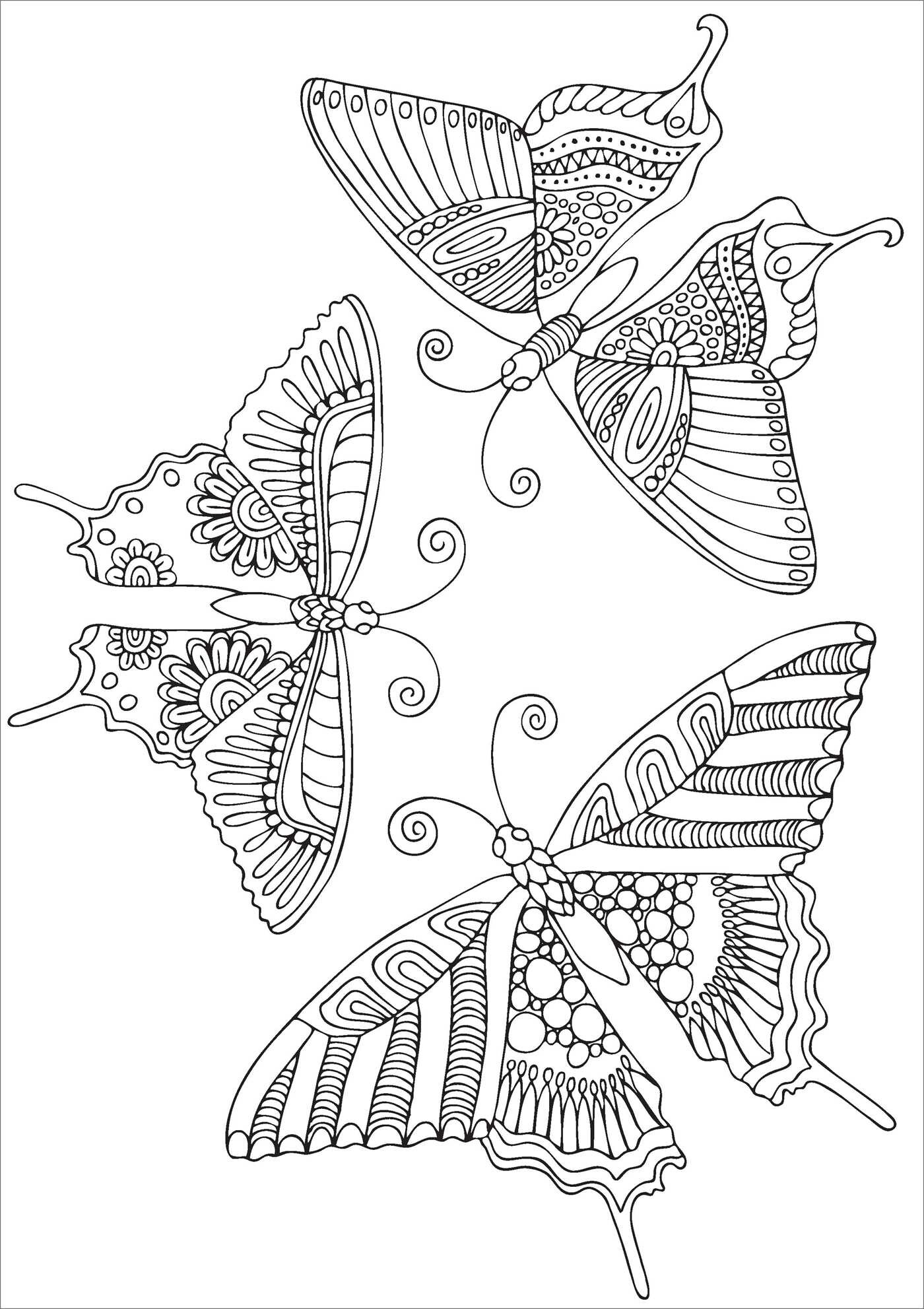 Beautiful Butterflies