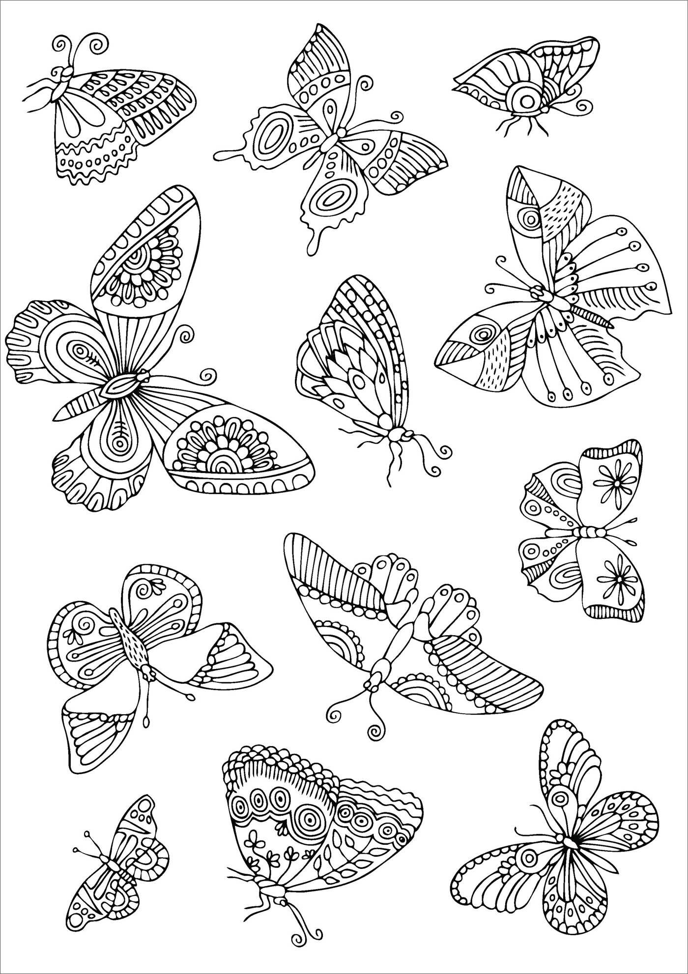 Beautiful Butterflies