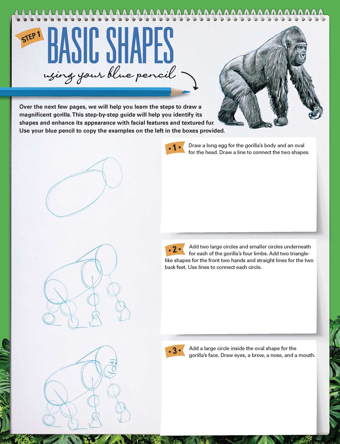 How to Draw Animals with Garry Fleming