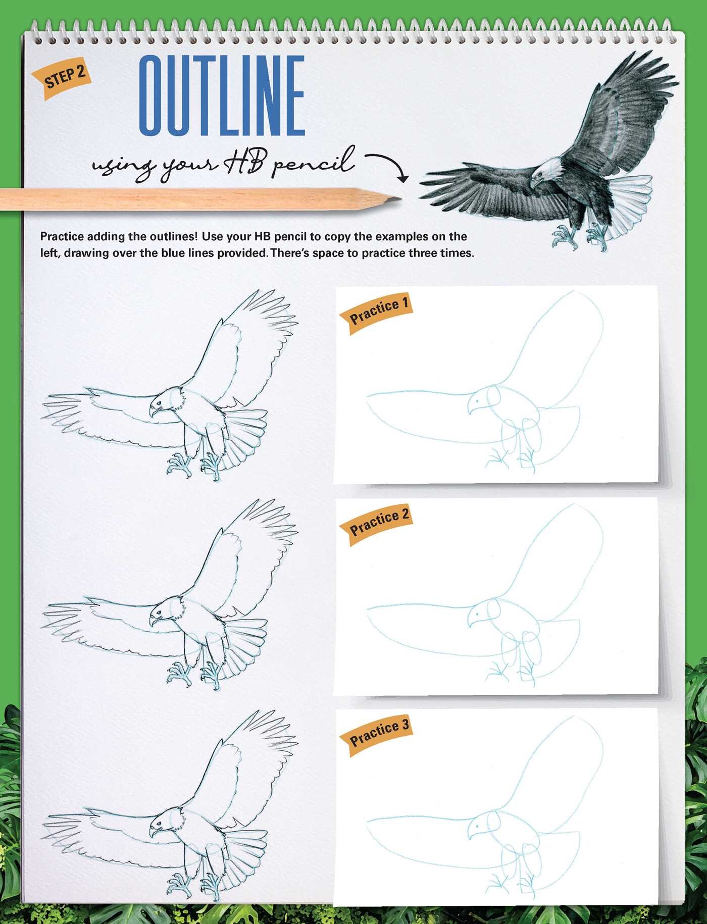 How to Draw Animals with Garry Fleming