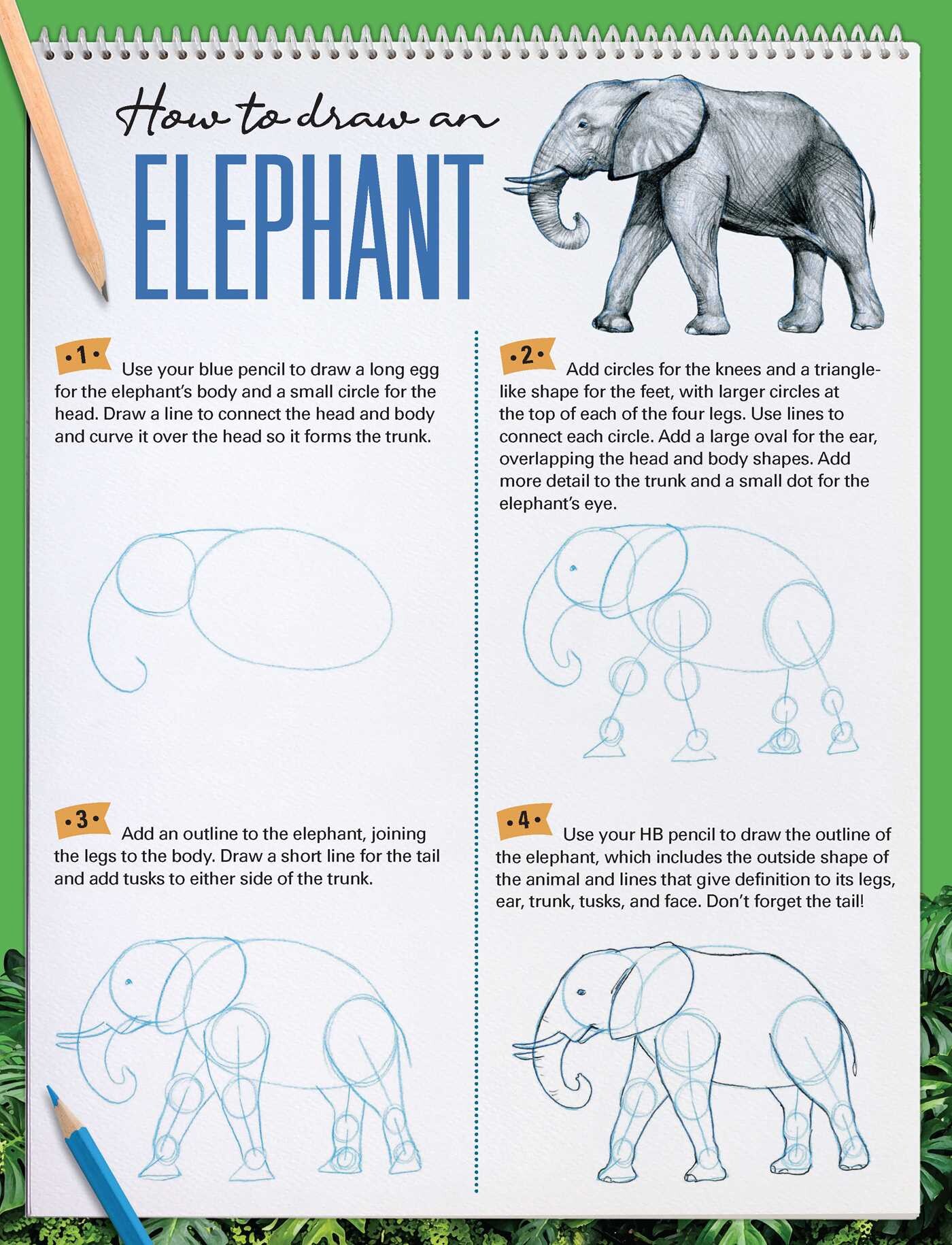 How to Draw Animals with Garry Fleming