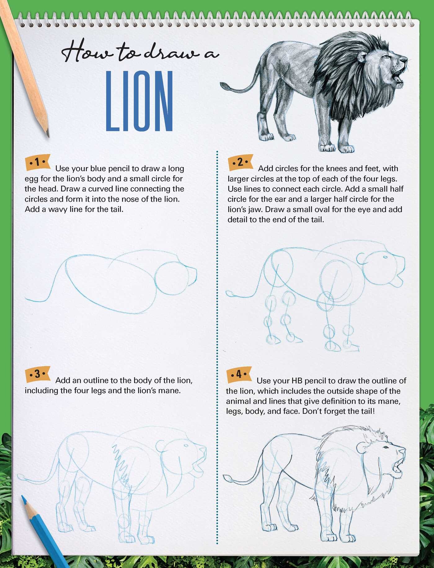 How to Draw Animals with Garry Fleming