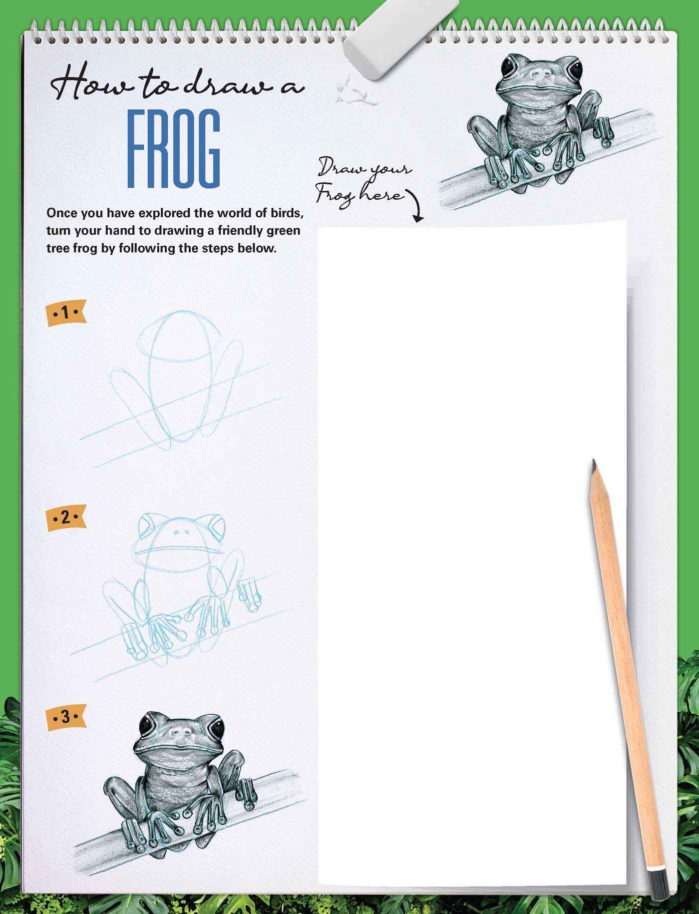 How to Draw Animals with Garry Fleming