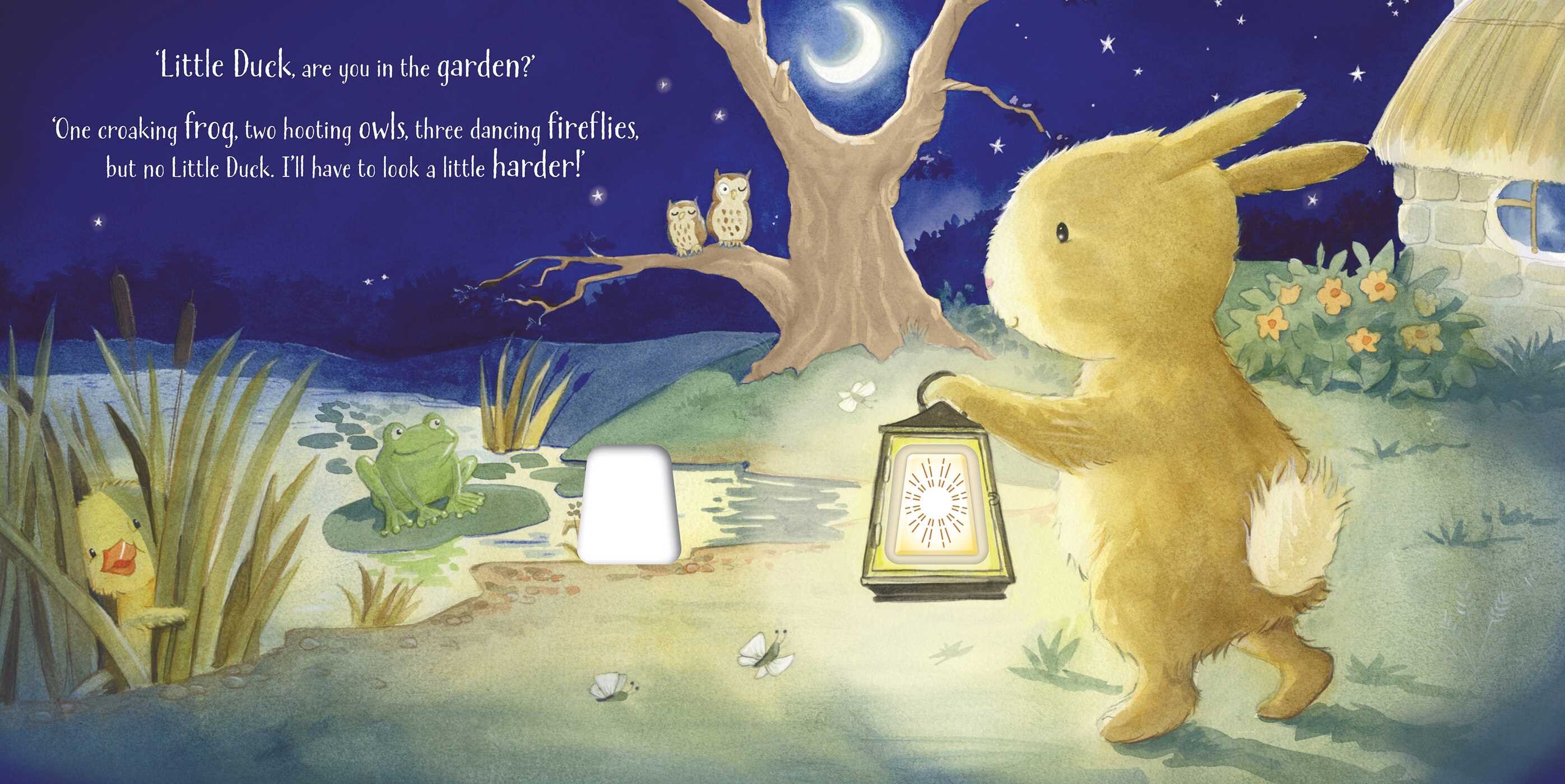 Hide-and-Seek by Lantern Light: Night Light Picture Book
