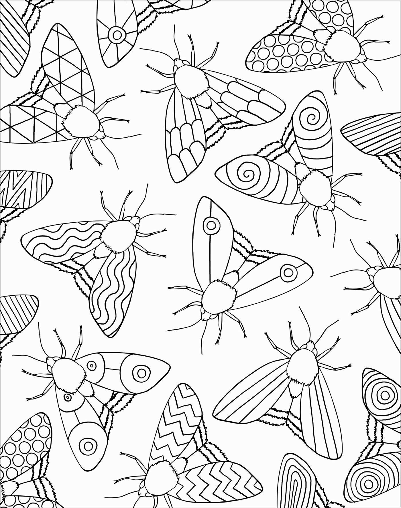 Bugs: Coloring Book