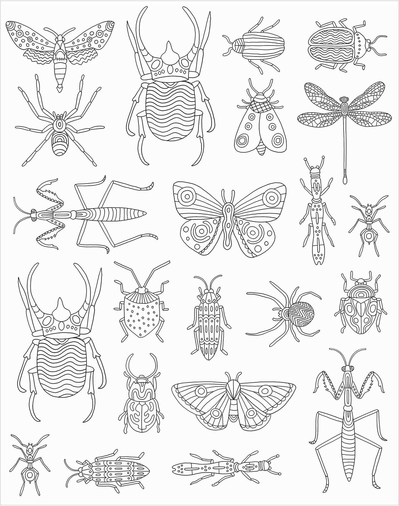 Bugs: Coloring Book