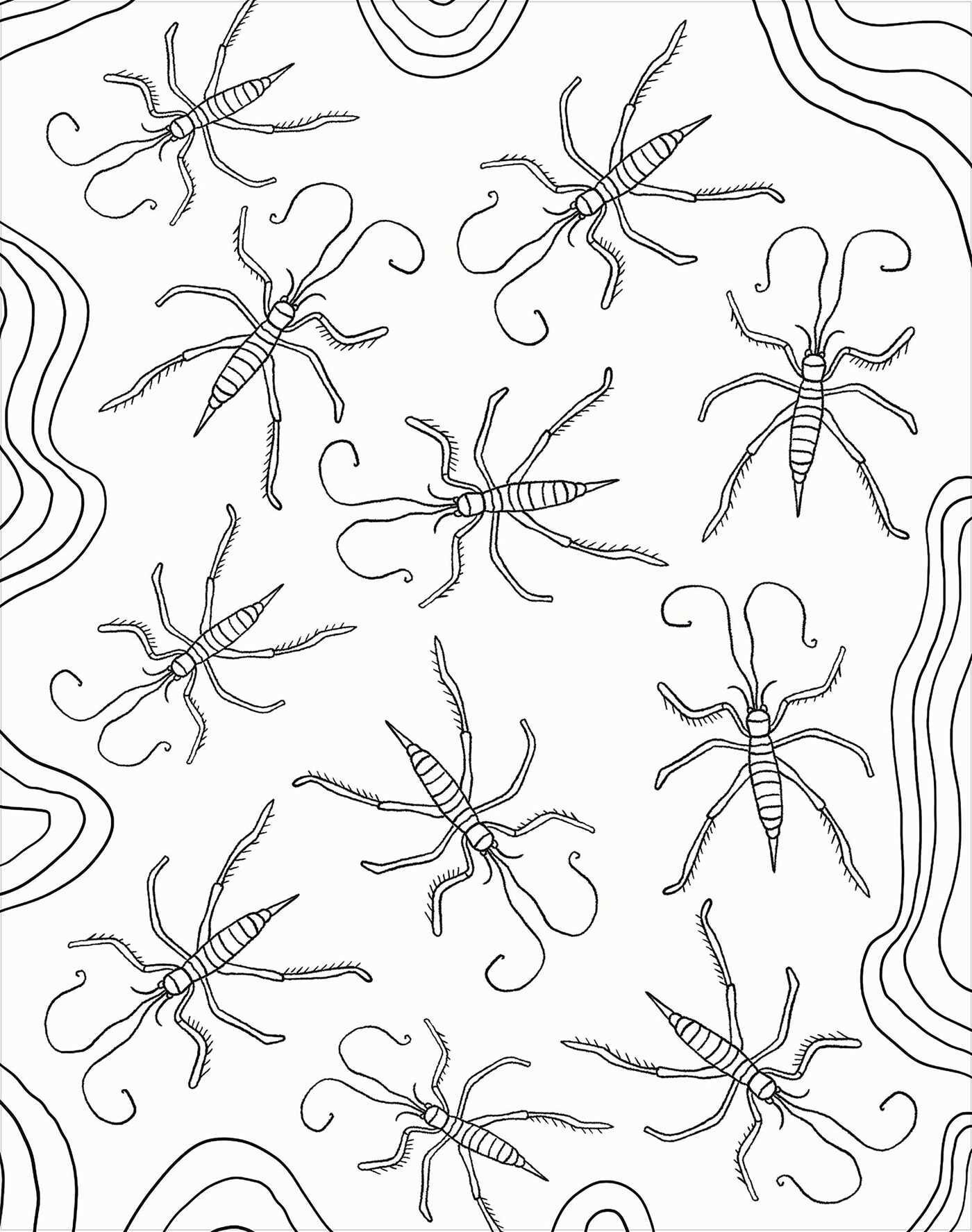 Bugs: Coloring Book