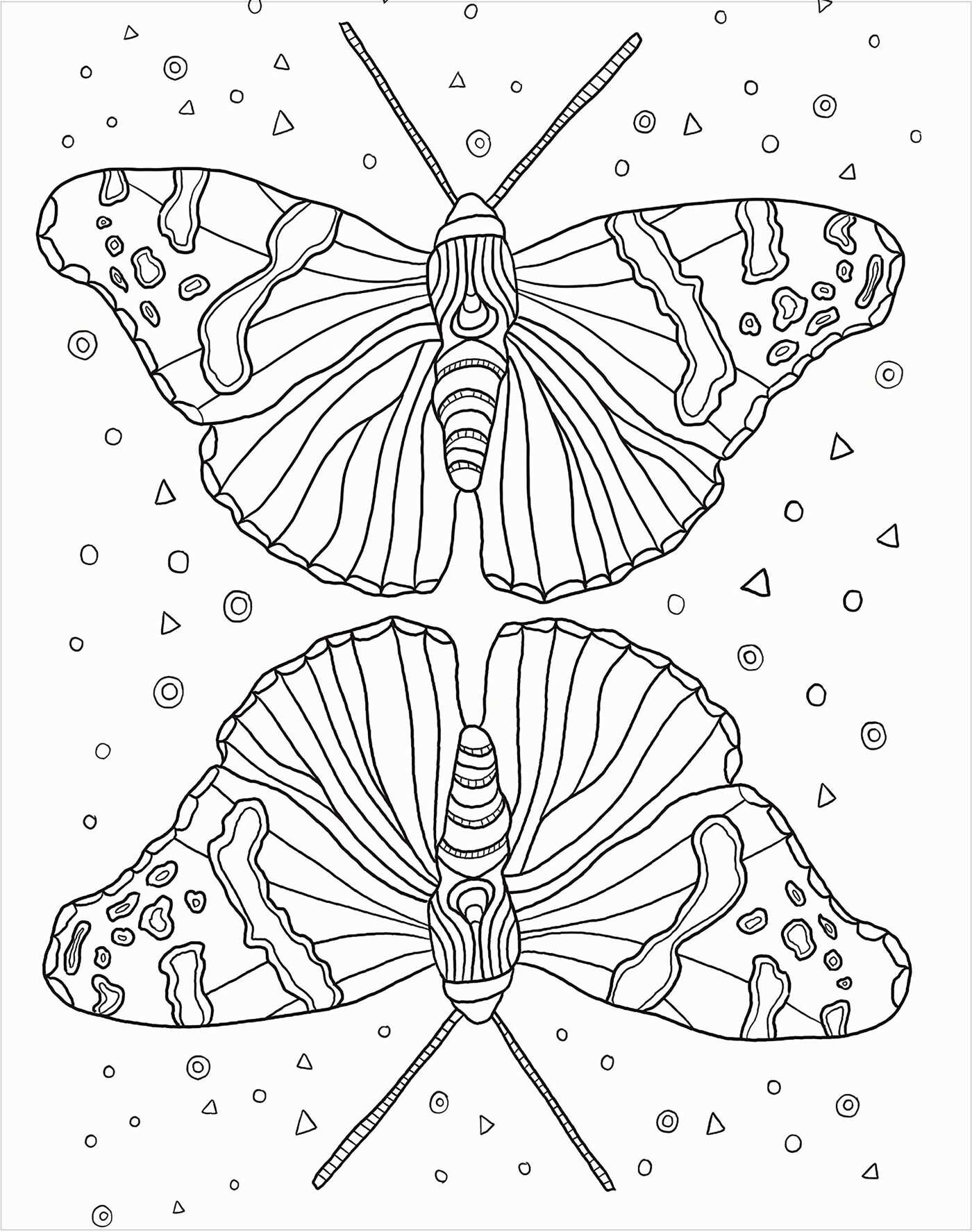 Bugs: Coloring Book